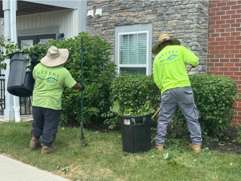 two landscapers working on a yard in powell